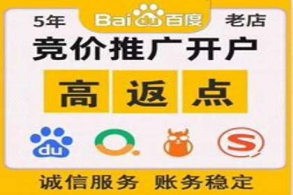 高效SEM竞价技巧，案例教学揭秘